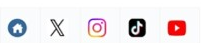 公式サイト、X、Instagram、TikTok、YouTubeのアイコン